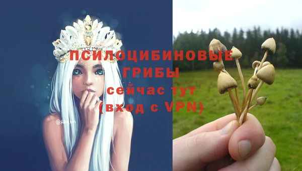 твердый Алексеевка