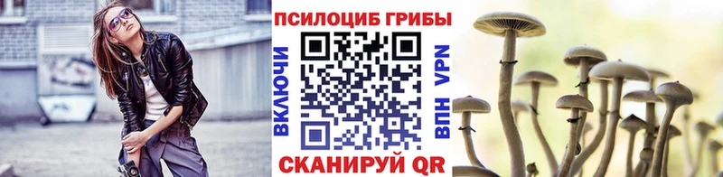 купить закладку  Королёв  Псилоцибиновые грибы мухоморы 